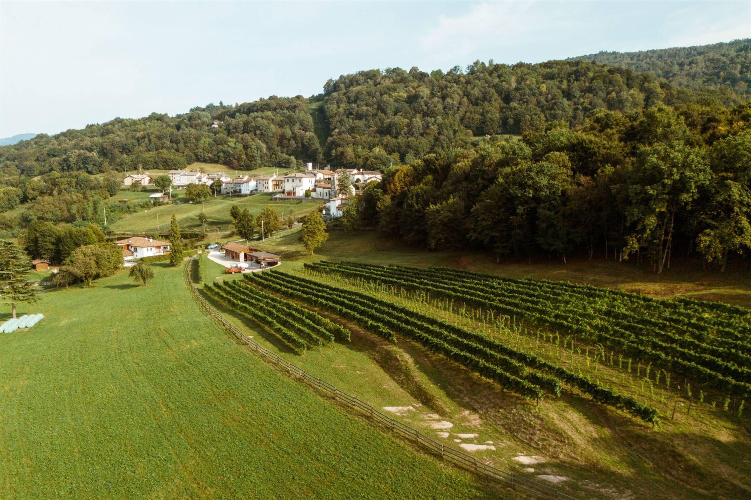 Tenuta Crodarossa - 3