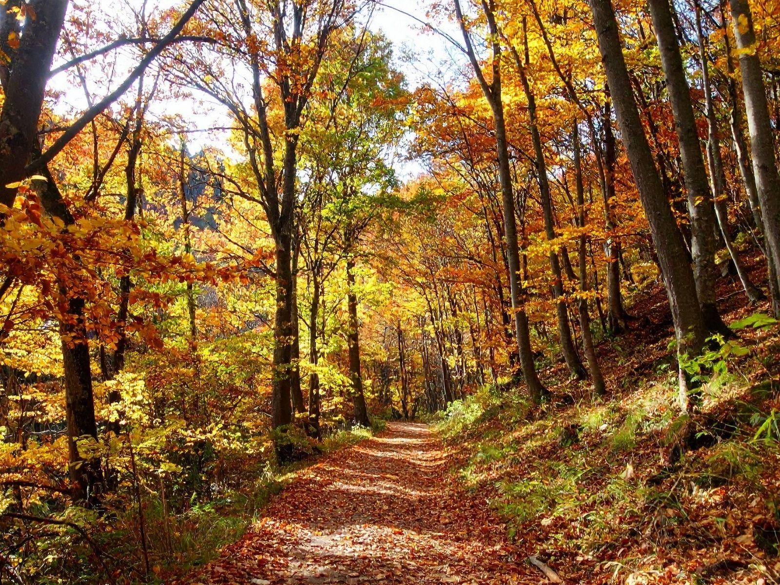 Armonie Autunnali in Valmorel