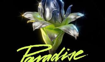 Paradise Venice