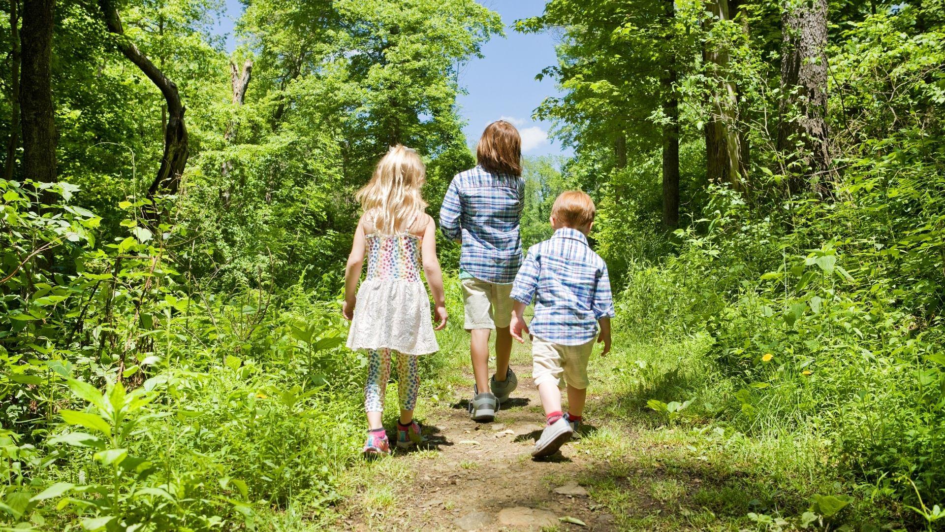 ALLA SCOPERTA DEL PARCO IN VAL DI ZOLDO PER I PIÙ PICCINI!