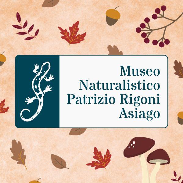 Laboratori ed escursioni - Museo Naturalistico "Patrizio Rigoni"