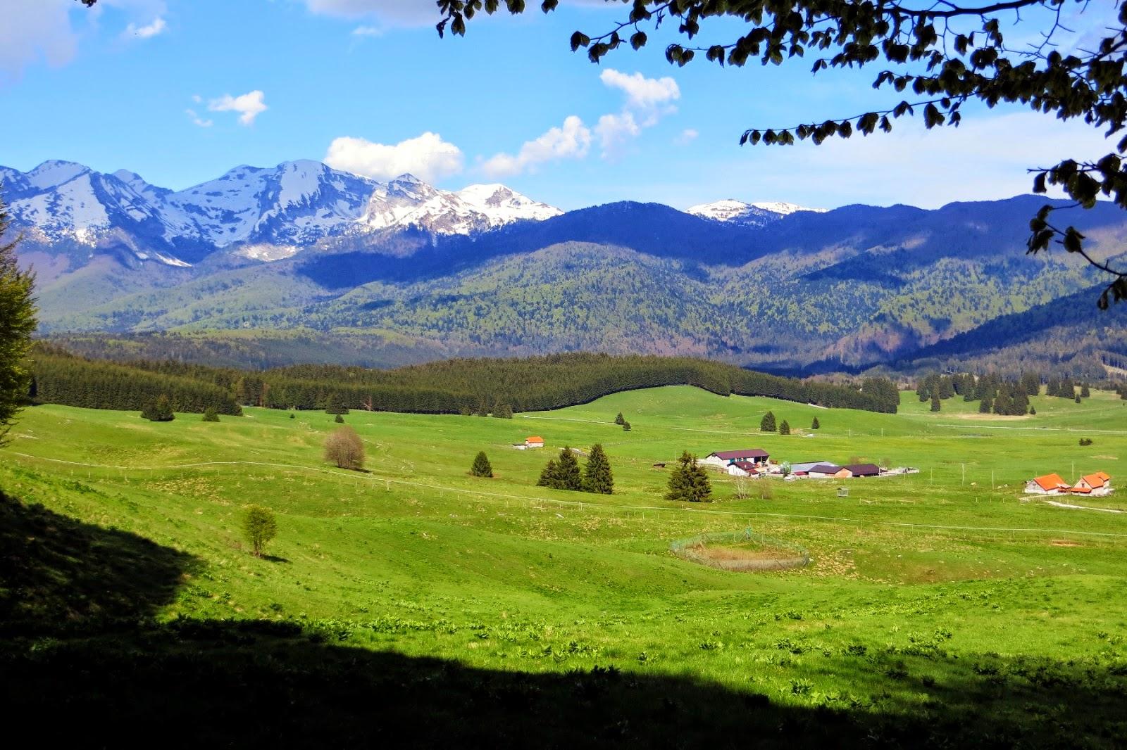 1oo km dell'Alpago - 3