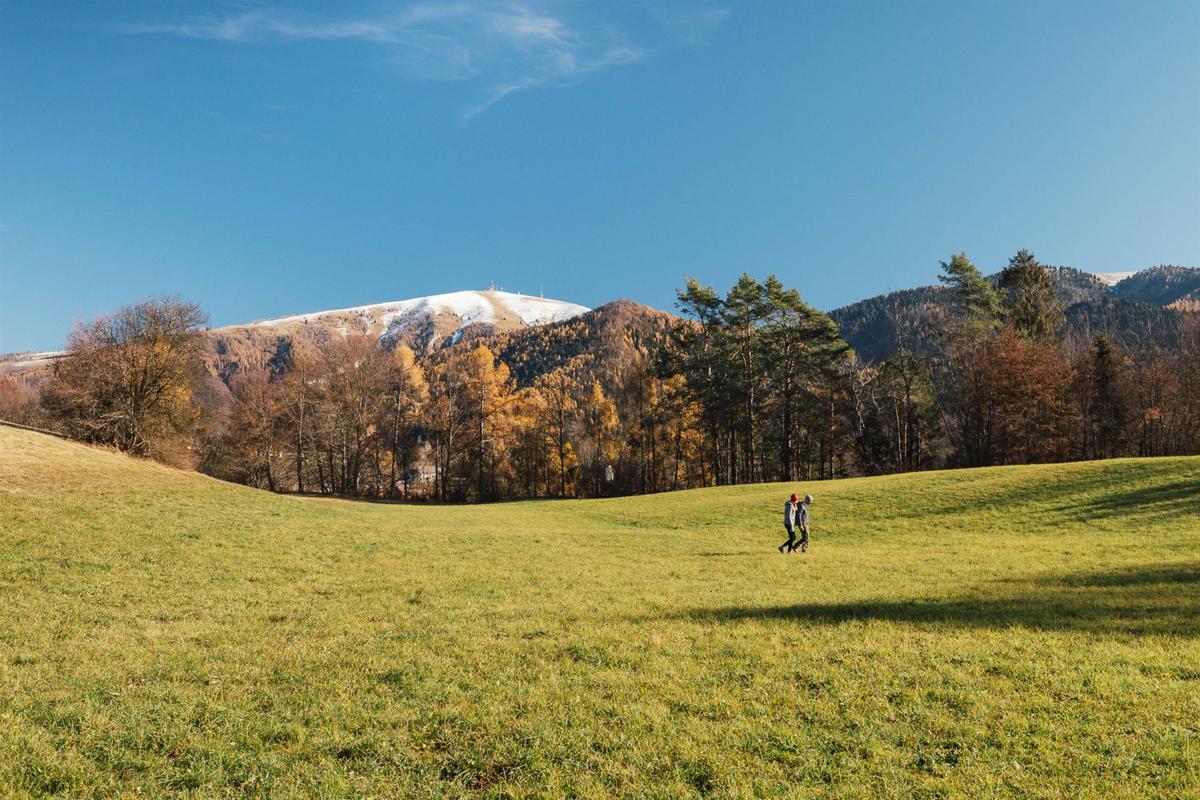 Autunno a Trichiana