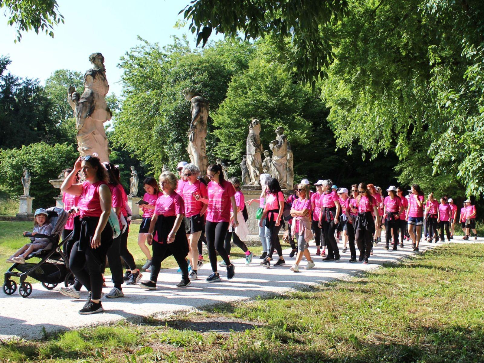 Castelfranco in rosa