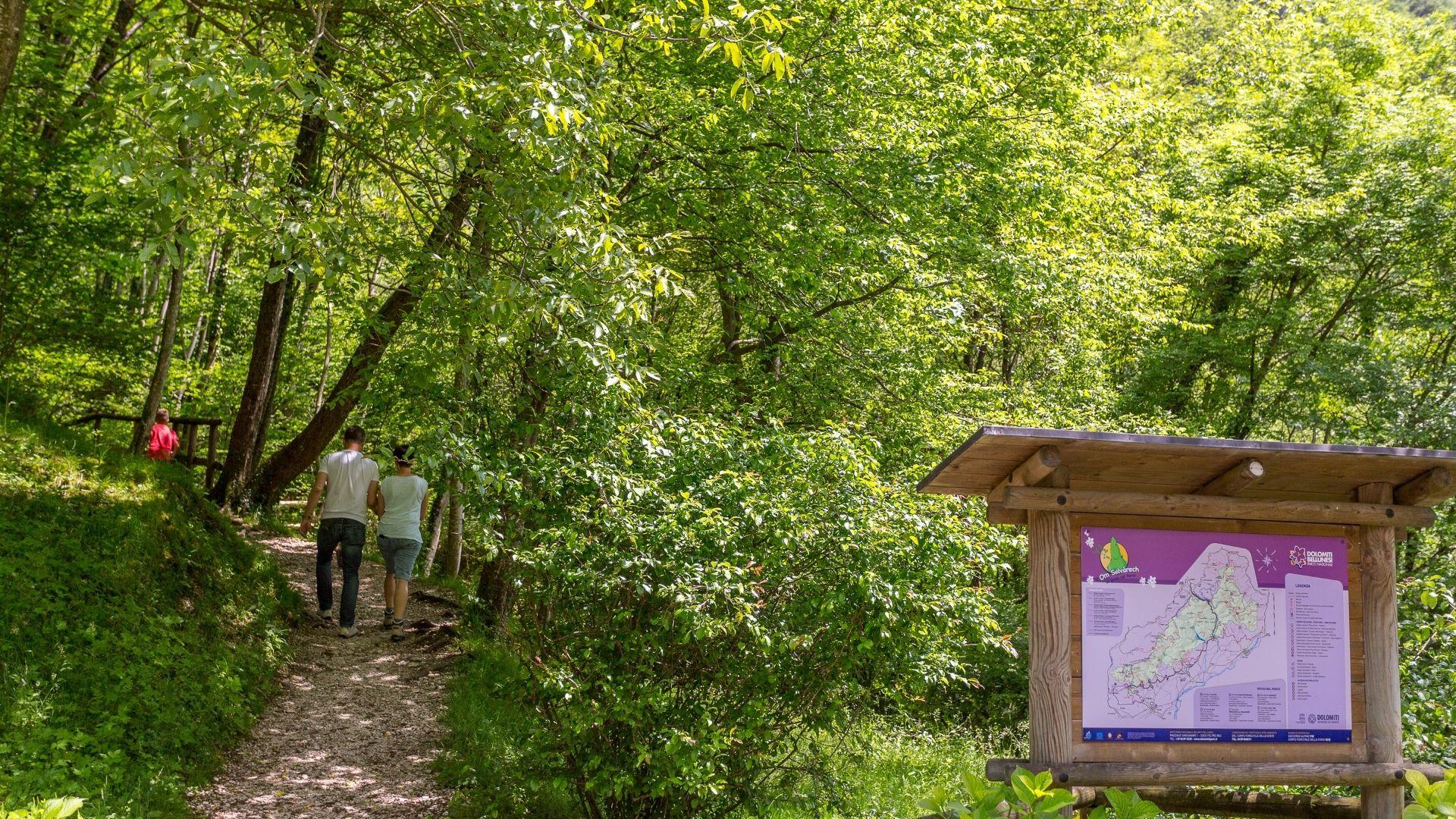 Al Bus del Buson: natura, ascolto, visione, convivialità