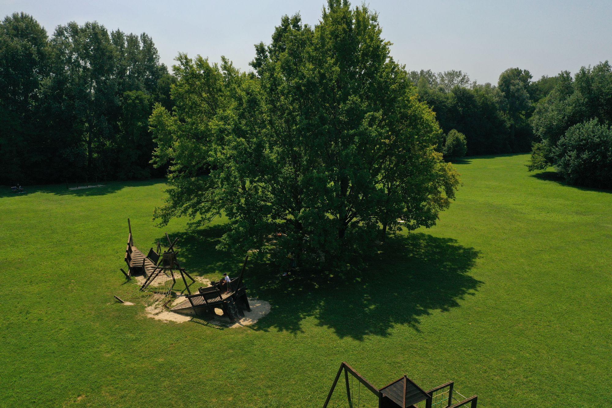Parco dei Laghetti