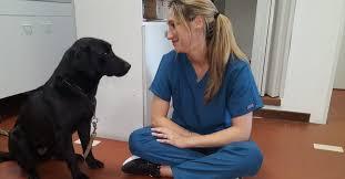Centro Veterinario Oltrebrenta