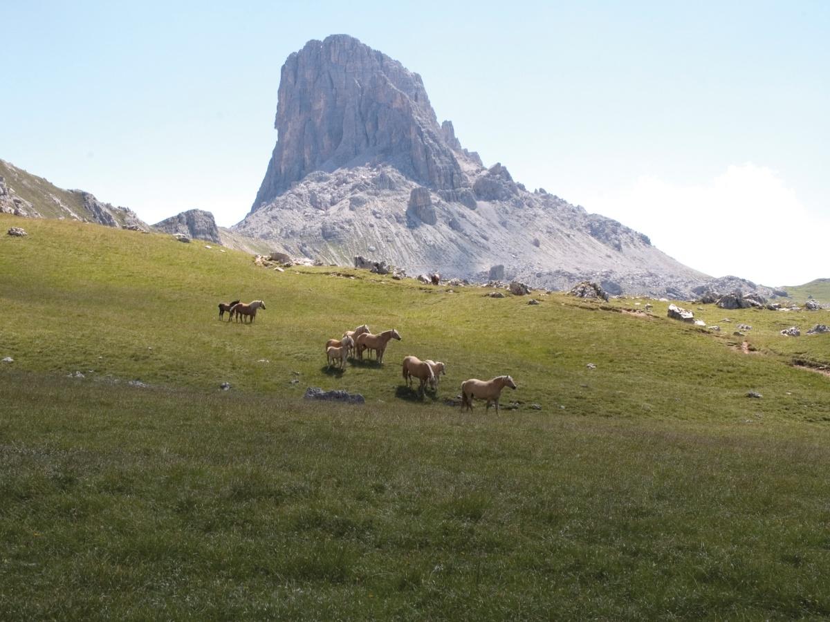 Itinerario al Sito Archeologico di Mondeval