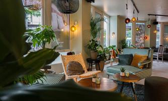 A modern lounge with comfortable furniture and many plants. Soft lighting creates an inviting atmosphere.