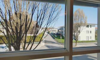 A view from a window onto a quiet street with houses and bare trees. The sky is clear and blue.