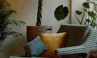 A stylish armchair with a colorful cushion stands in front of a large houseplant. In the background, soft lighting is visible, creating an inviting atmosphere.