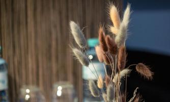 A beautiful bouquet of delicate grasses in various colors. In the background, water bottles and glasses are visible.