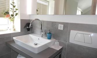 A modern bathroom with an elegant sink and a large mirror. Natural light streams through the window, and a plant adds a fresh accent.