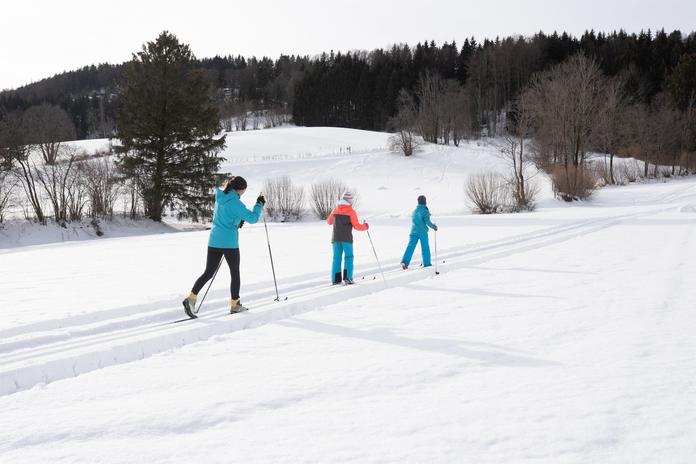 Langlaufloipe Gaisberg - Oberwinkl