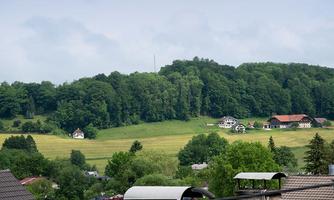 A calm landscape with green meadows and a forest in the background. In the foreground, several houses are visible.