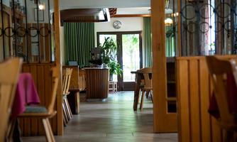 A cozy restaurant with wooden decor and green curtains. In the background, there are plants and large windows that let in daylight.
