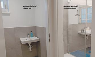 A bright bathroom with a shower and a sink. On the left side, there is a separate toilet with a sink.