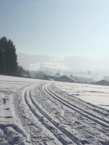 Langlaufloipe "Dorf" in Eugendorf