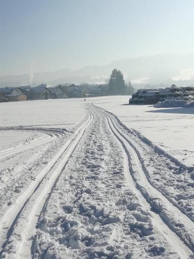 Langlaufloipe "Dorf" in Eugendorf