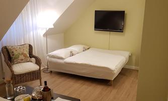 A cozy room with a bed, a TV on the wall, and a chair. The atmosphere is friendly and inviting.
