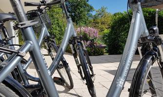 Several grey bicycles are standing in a paved square. In the background, green plants and flowers can be seen.
