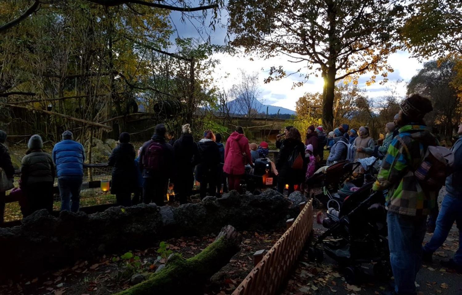Laternennachmittag- Familienprogramm