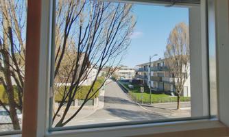 A view from a window onto a quiet street with modern residential buildings. Trees frame the view and the sky is clear.