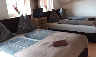 A cozy room with two beds and modern cushions. There is a small desk and a window that lets in plenty of daylight.