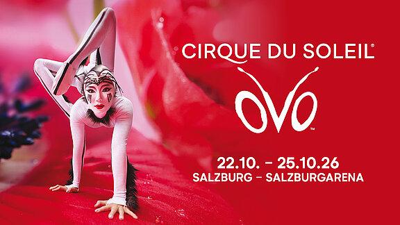 Cirque du Soleil: OVO