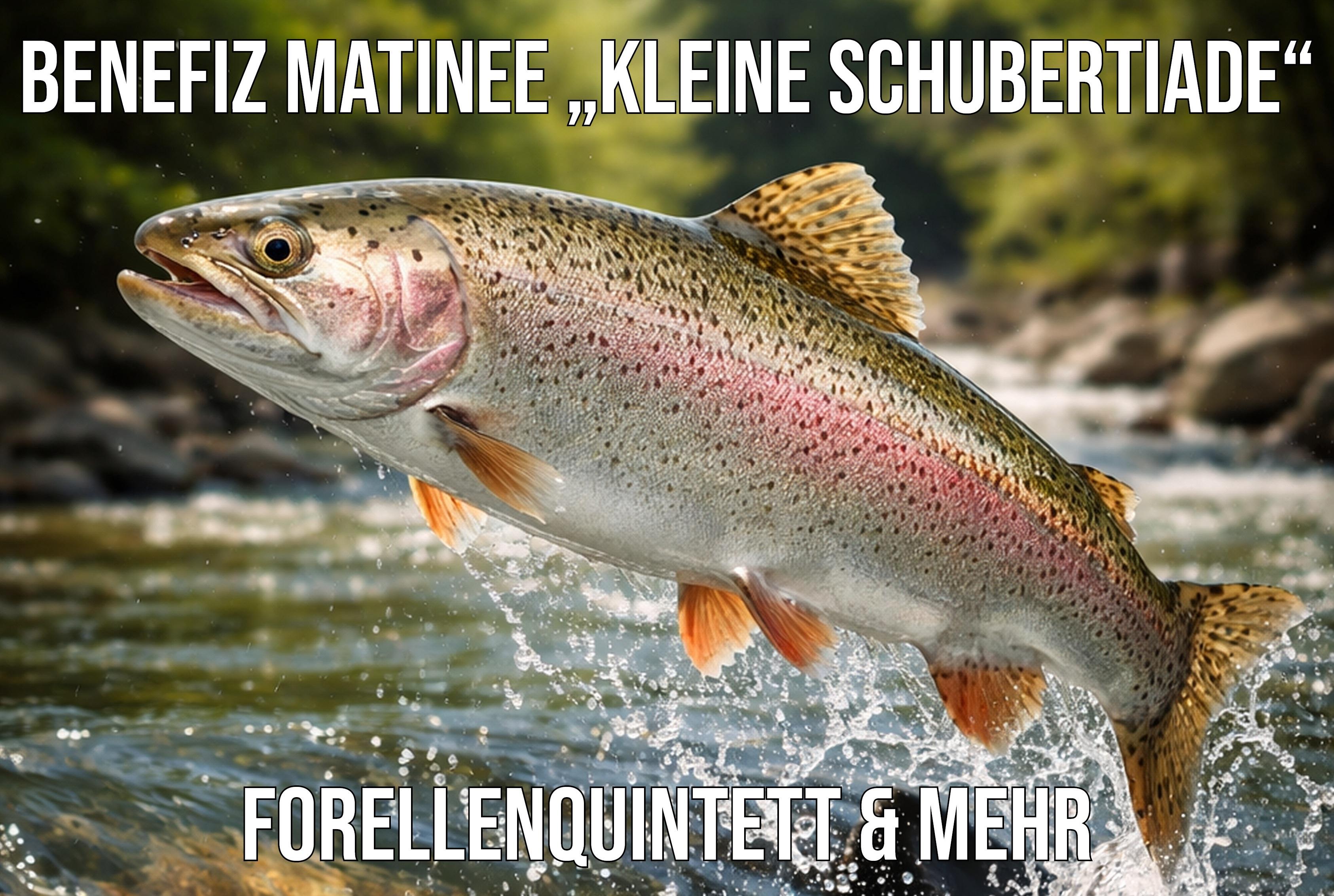Benefizmatinee „kleine Schubertiade“ – Austrian Doctors