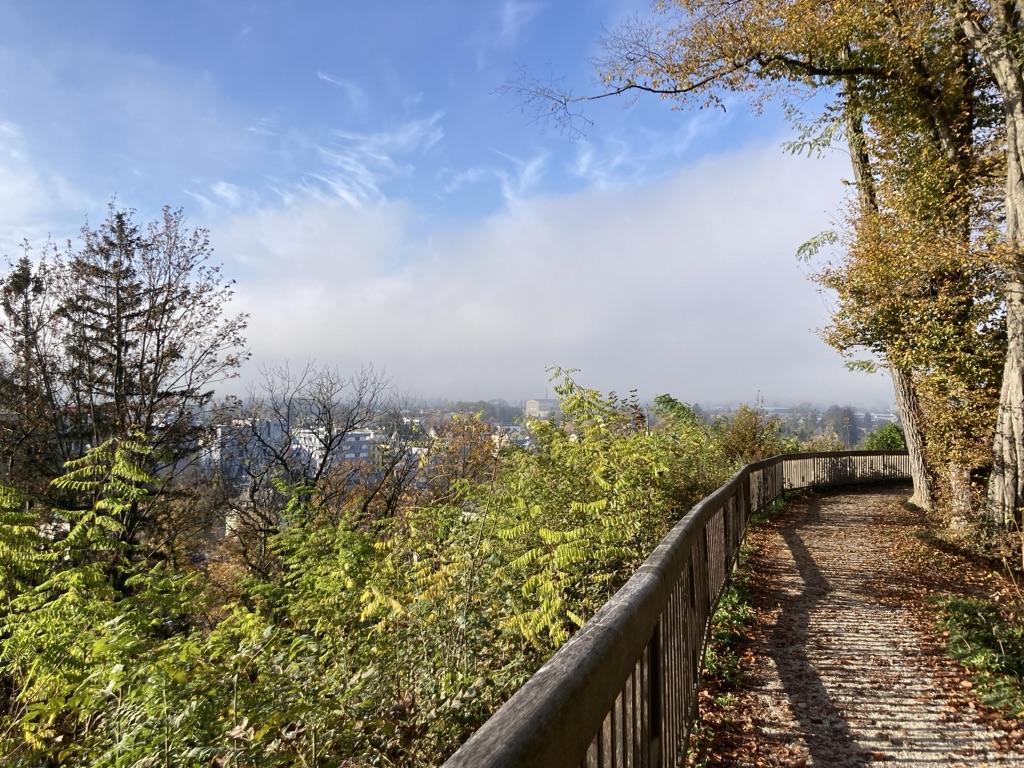 Trail Run: Stadt Berg Duett