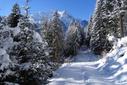 Winterwanderung Winterwanderung