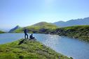 Torsee Torsee