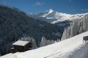 Winter Winter