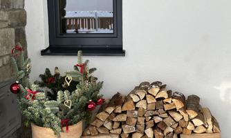 A small Christmas tree decoration in a flower pot stands next to a woodpile. In the background, you can see a window and a wall with the inscription "TUX MOUNTAIN".
