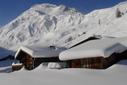 Traum im Schnee Traum im Schnee