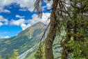 Sommer2021-08-min Sommer2021-08-min