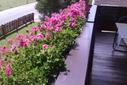 Balkon Balkon