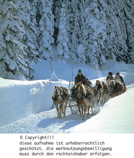 Pferdekutschenfahrten Watscherbauer
