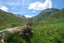 Auf der Alm Auf der Alm