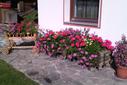 Garten Garten