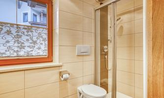 A modern bathroom with a shower and toilet. Large windows provide plenty of daylight.