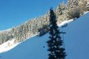 Winter Winter