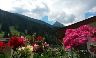 Colorful flowers in a garden with mountains in the background. A clear sky with some clouds is visible.