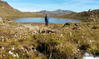A hiker stands at the shore of a clear mountain lake, surrounded by green meadows and mountains. The landscape is breathtaking and showcases the beauty of nature.