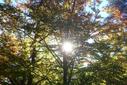 Herbst Herbst