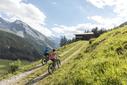 Mountainbiken mit Bergpanorama Mountainbiken mit Bergpanorama