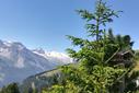 Gletscherblick von der Eggalm Gletscherblick von der Eggalm