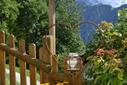 Garten Sommer Garten Sommer