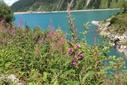 Schlegeisstausee Schlegeisstausee